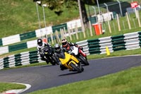 Middle Group Yellow Bikes